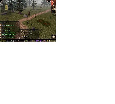 Arnormo.JPG