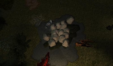 DP1.jpg