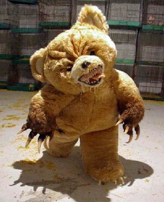 Teddy Bear OMG.jpg