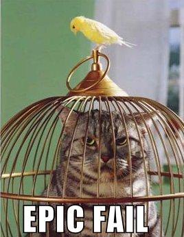 funnypicturesbirdcatcag.jpg
