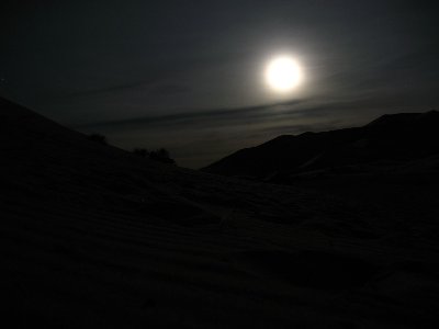 desert.in.night.jpg