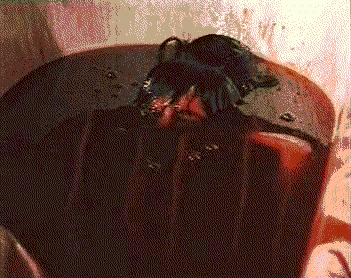 4.gif