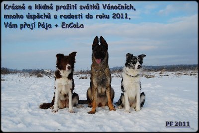 PF2011.jpg