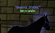 Bez názvu.png