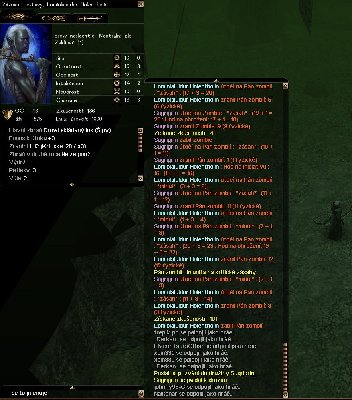 bug 2.JPG