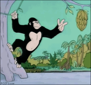 1335484890056.gif