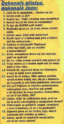 dokonala manzelka.jpg