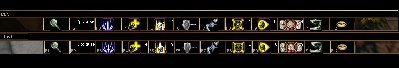 bug.jpg