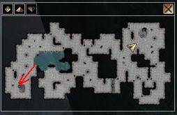 houbové tunely 4.JPG