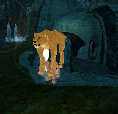 lvice na zádech.JPG